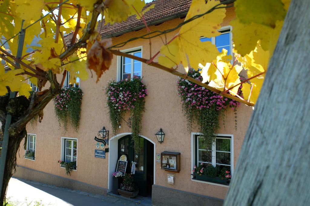 Апартаменты Weingut Donabaum "In Der Spitz" Шпиц Экстерьер фото