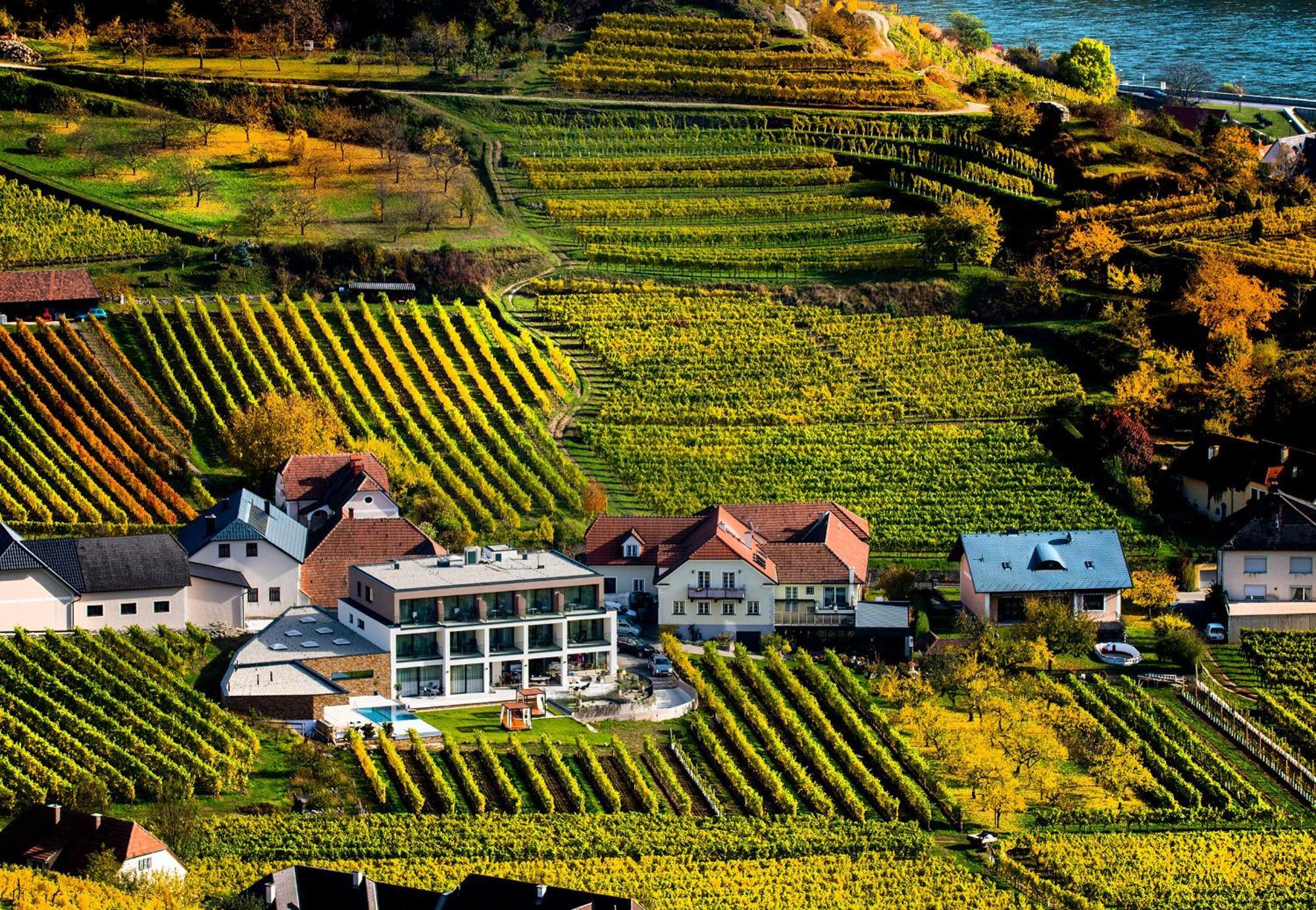 Апартаменты Weingut Donabaum "In Der Spitz" Шпиц Номер фото