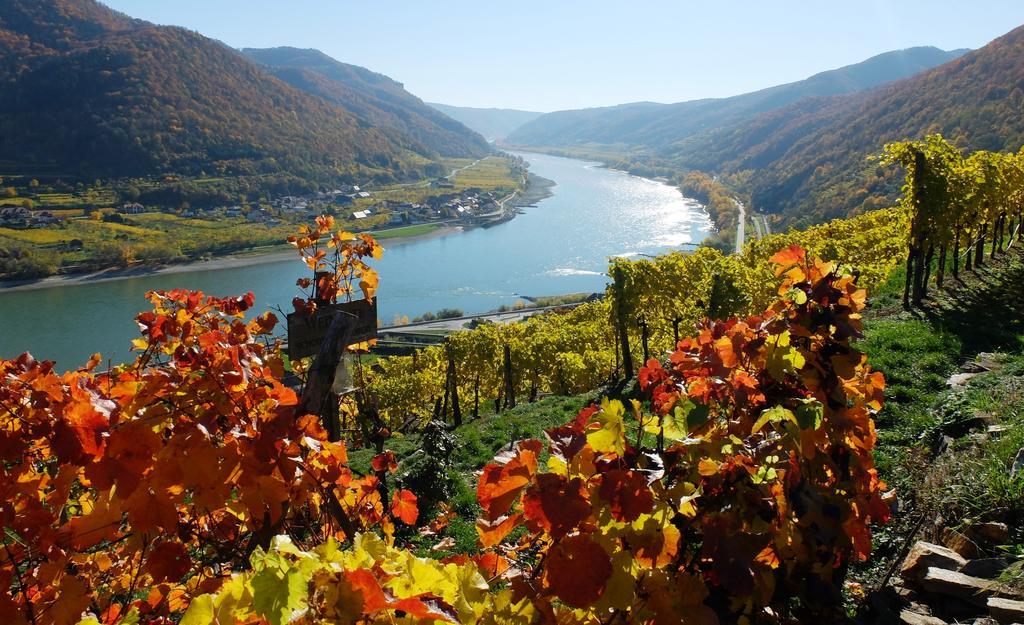 Апартаменты Weingut Donabaum "In Der Spitz" Шпиц Экстерьер фото