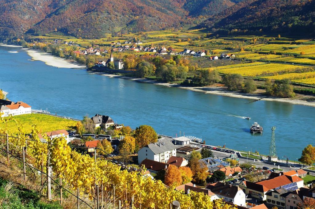 Апартаменты Weingut Donabaum "In Der Spitz" Шпиц Экстерьер фото