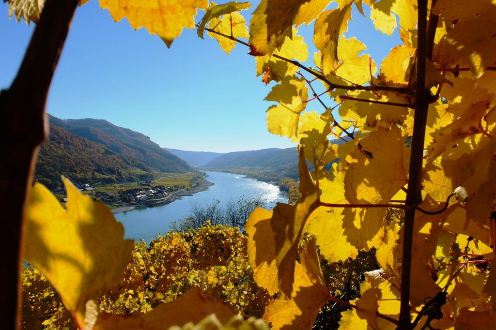 Апартаменты Weingut Donabaum "In Der Spitz" Шпиц Экстерьер фото