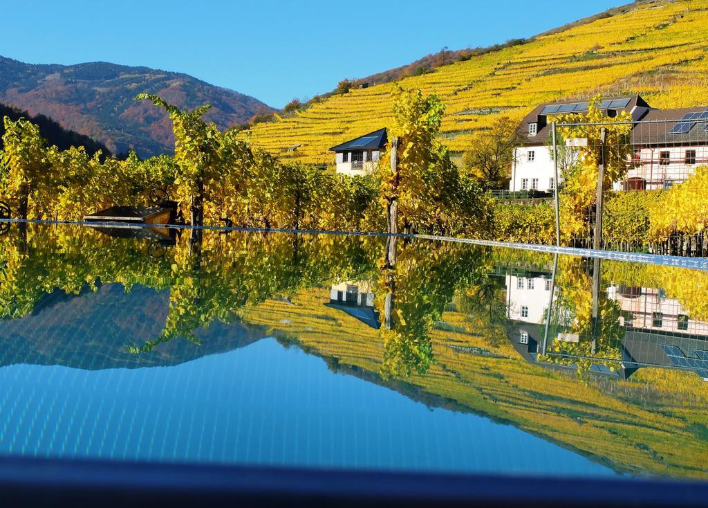 Апартаменты Weingut Donabaum "In Der Spitz" Шпиц Экстерьер фото