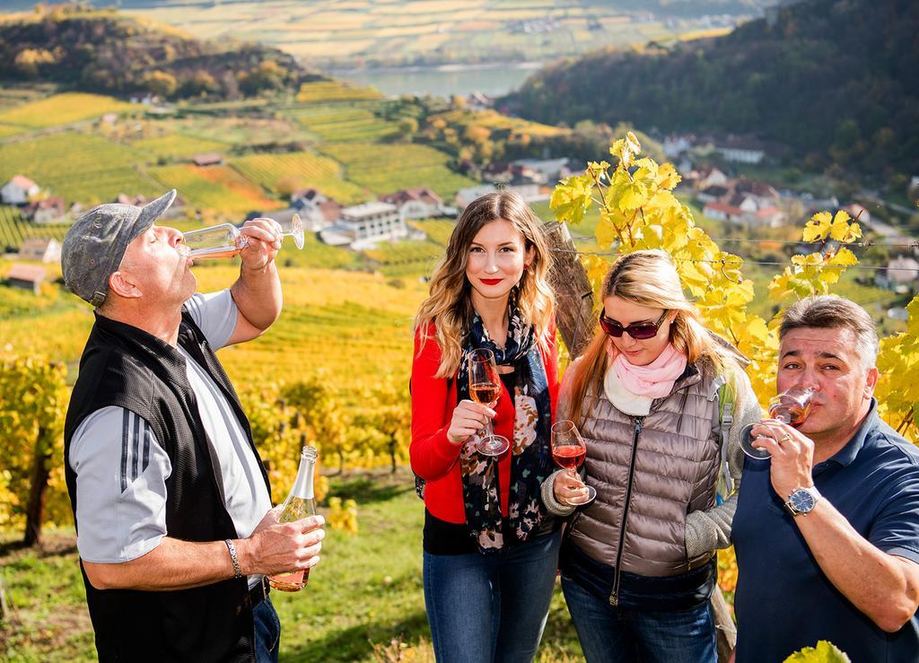 Апартаменты Weingut Donabaum "In Der Spitz" Шпиц Экстерьер фото