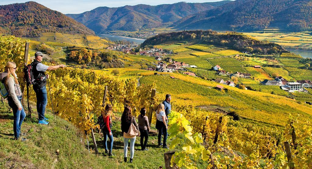 Апартаменты Weingut Donabaum "In Der Spitz" Шпиц Экстерьер фото