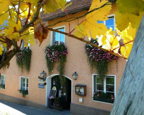Апартаменты Weingut Donabaum "In Der Spitz" Шпиц Экстерьер фото